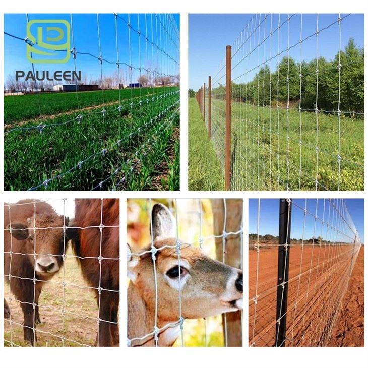 Steel Deer Fence factory